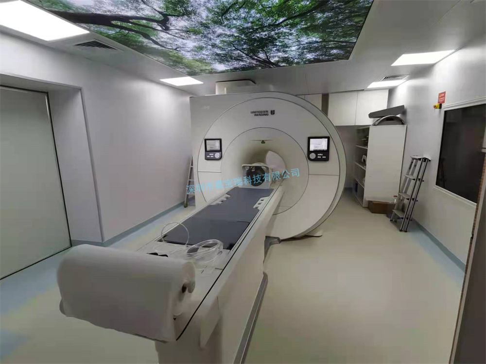 Specific content of design principles for shielded rooms